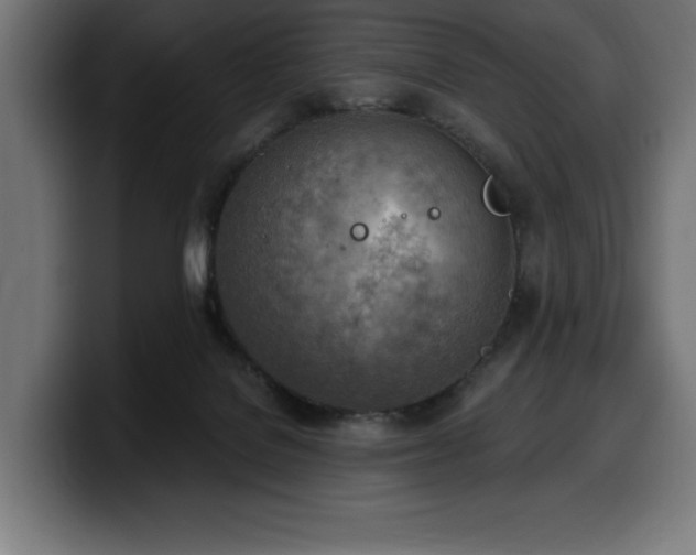 X0000100500076200806131445