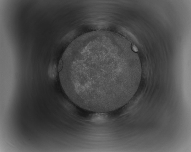 X0000100500077200806131445