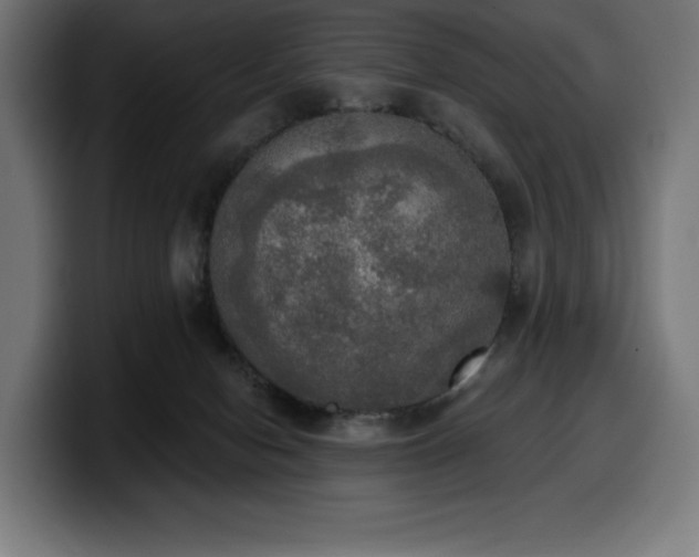 X0000100500078200806131445