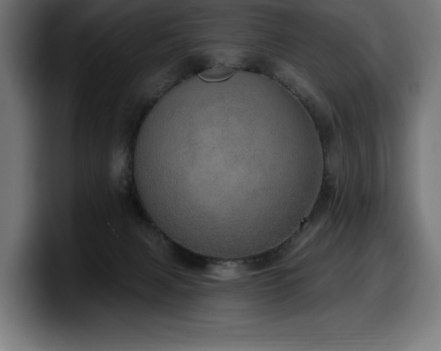 X0000100500079200806131445