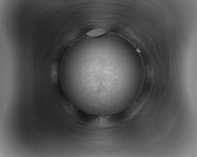 X0000100500080200806131445