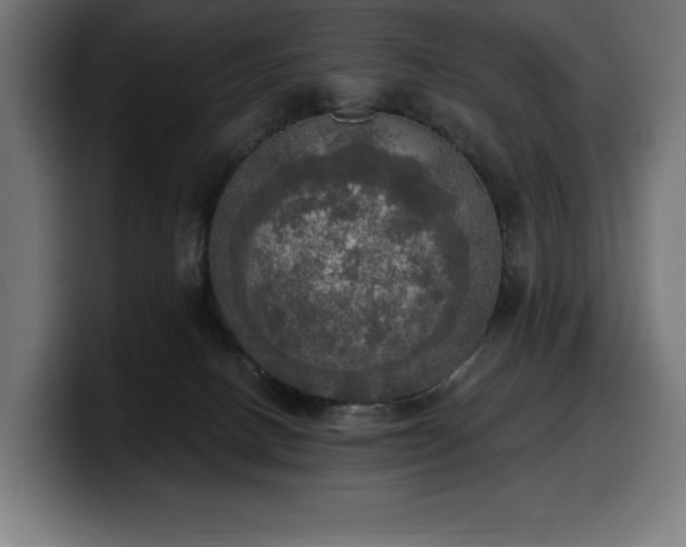 X0000100500082200806131445