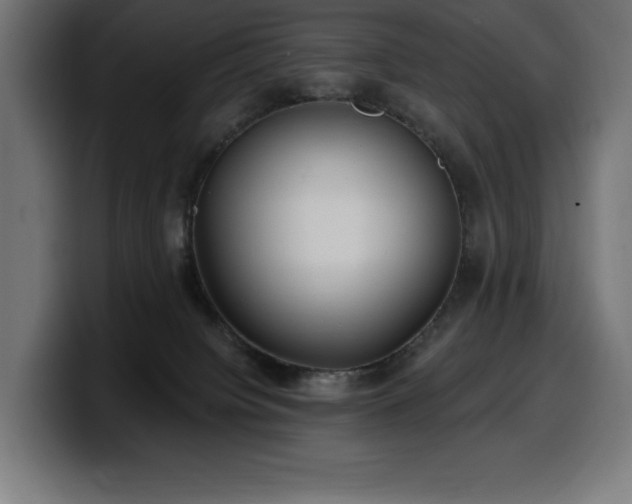 X0000100500084200806131445