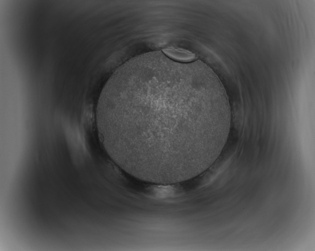 X0000100500085200806131445