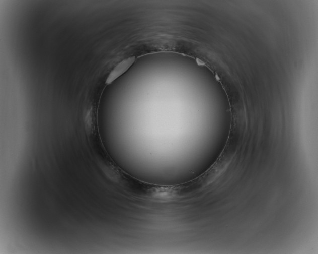 X0000100500088200806131445