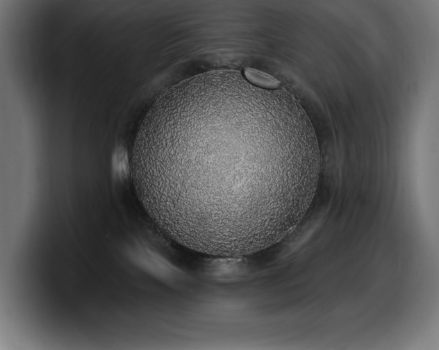 X0000100500089200806131445