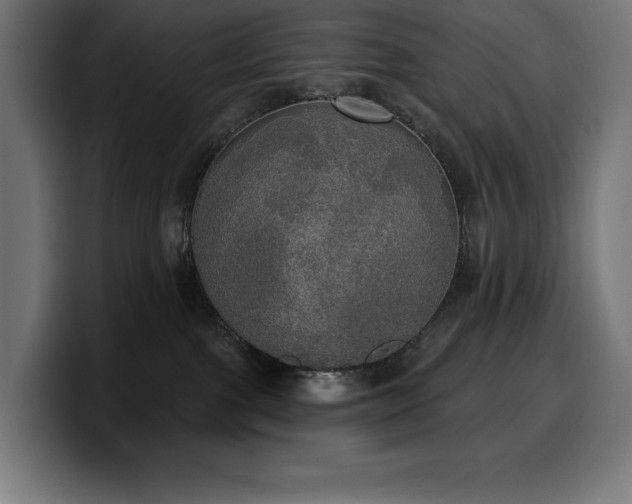 X0000100500091200806131445