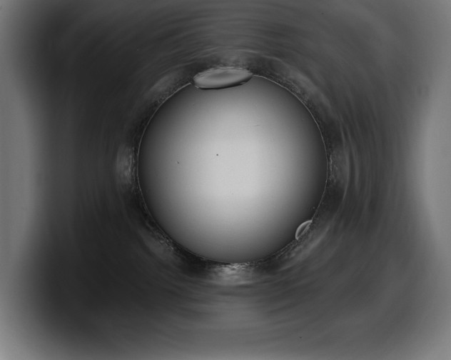 X0000100500092200806131445