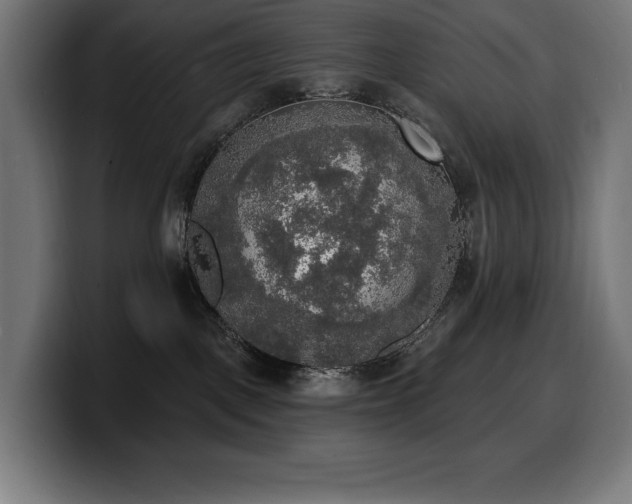 X0000100500093200806131445