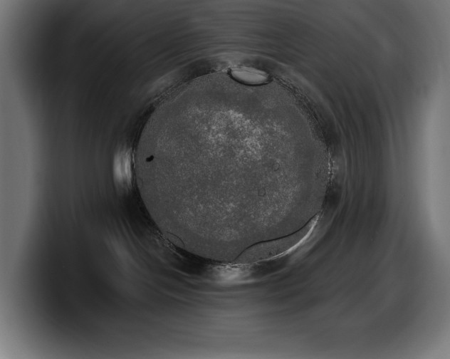 X0000100500094200806131445