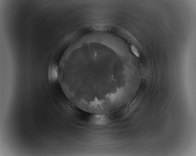 X0000100500095200806131445