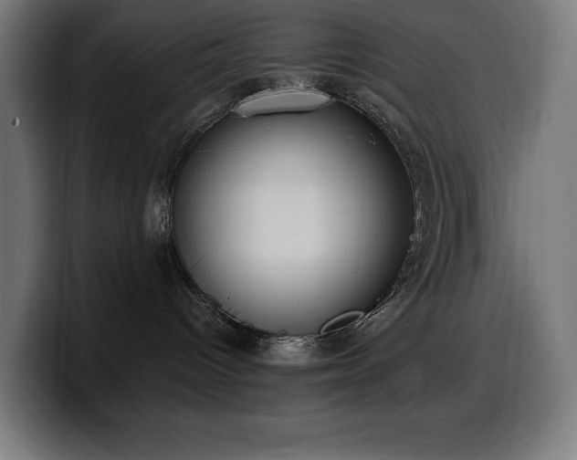 X0000100500096200806131445