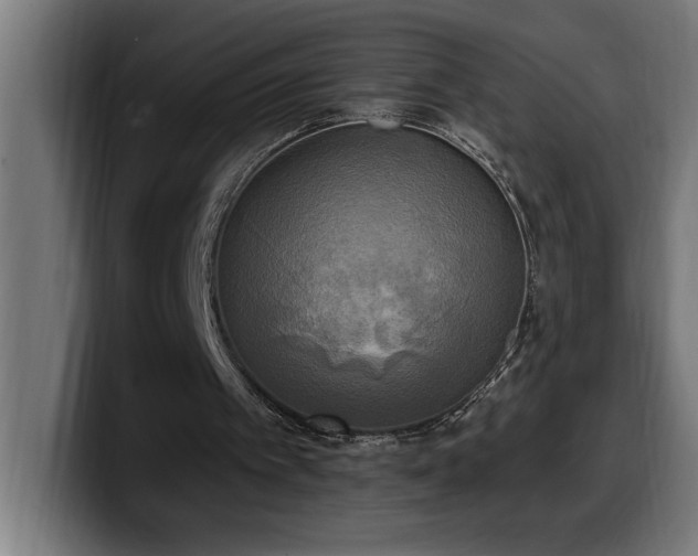 X0000100500097200806131444