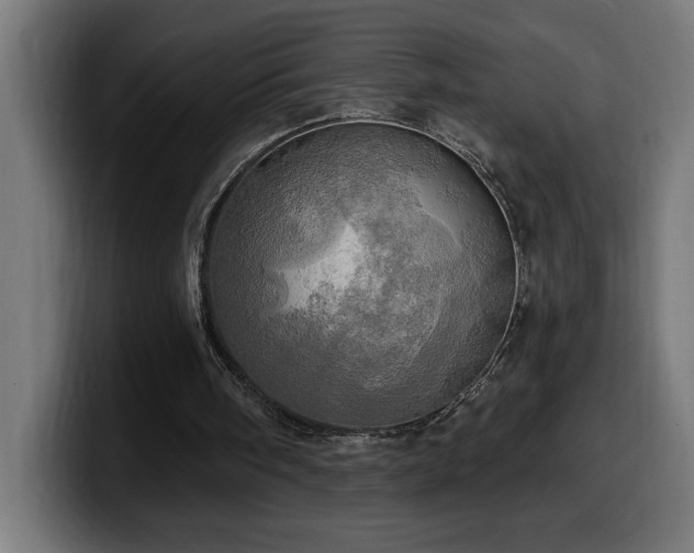 X0000100500098200806131444