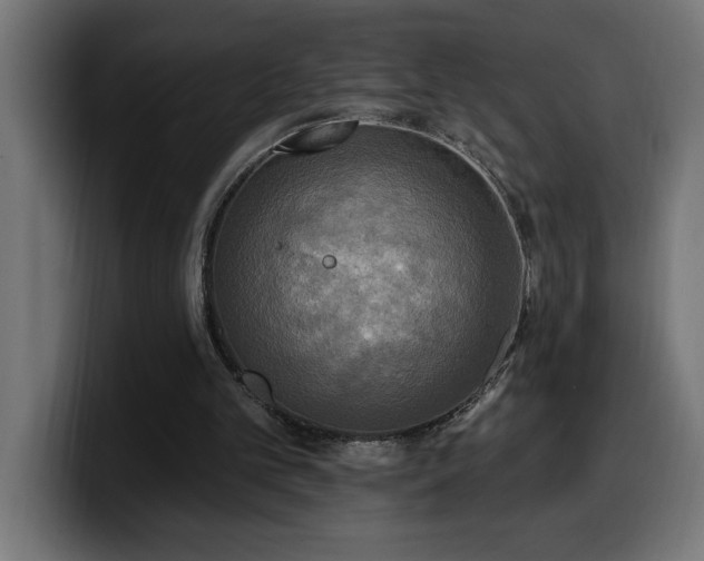 X0000100500101200806131444