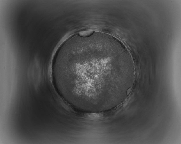 X0000100500102200806131444