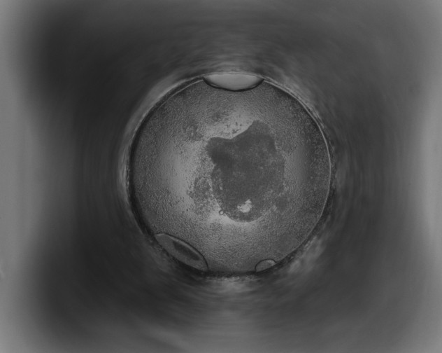 X0000100500103200806131444