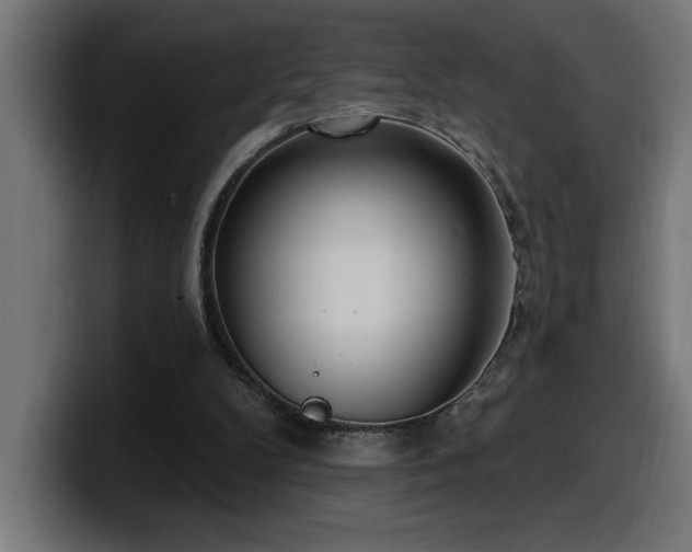 X0000100500104200806131444