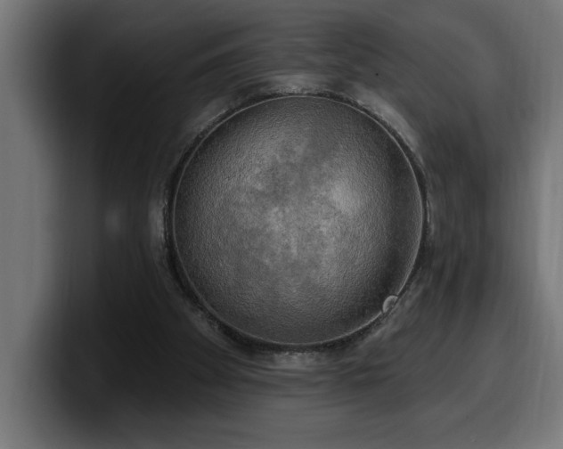 X0000100500105200806131444