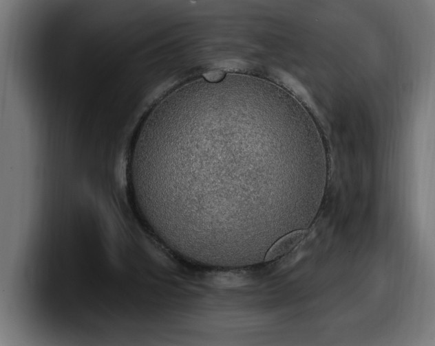 X0000100500106200806131444