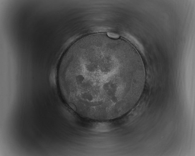 X0000100500107200806131444