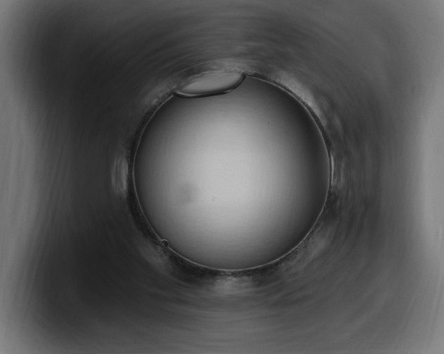 X0000100500109200806131444