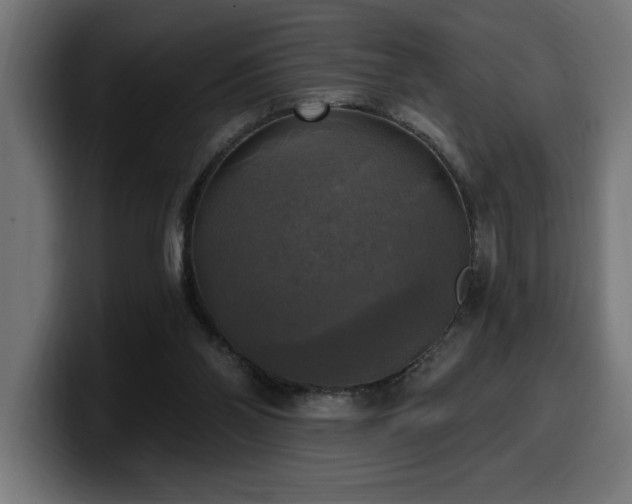 X0000100500110200806131444