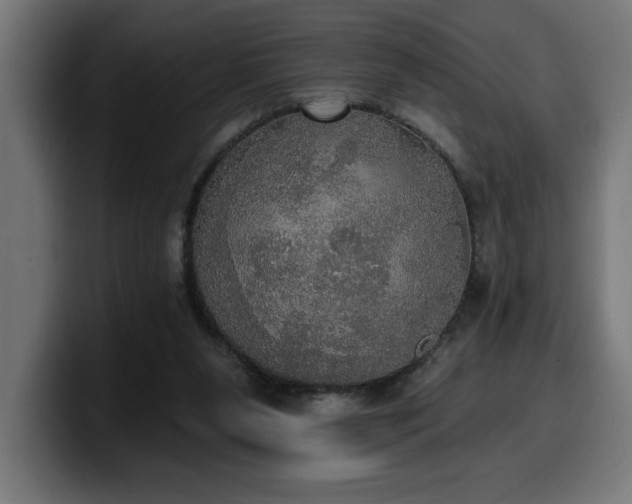 X0000100500111200806131444