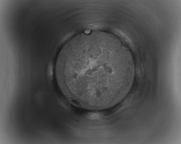 X0000100500115200806131444