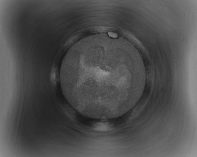 X0000100500119200806131444