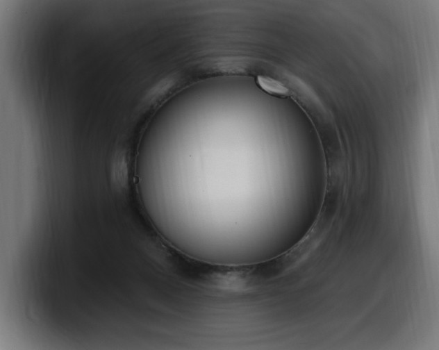 X0000100500120200806131444