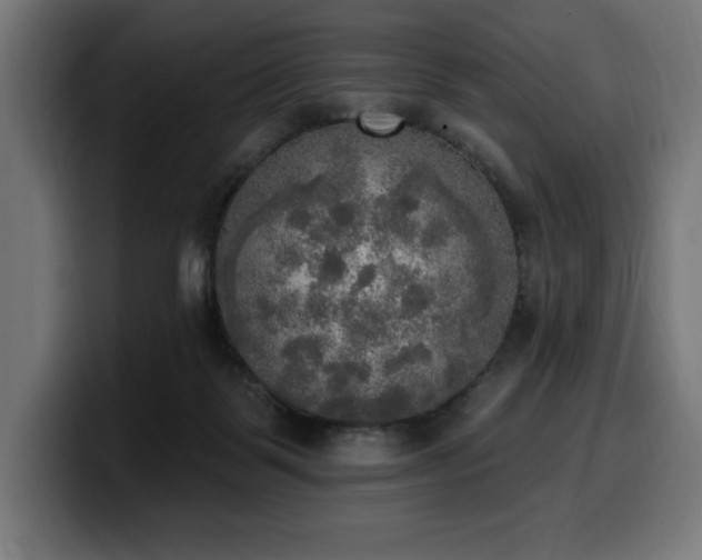 X0000100500123200806131444