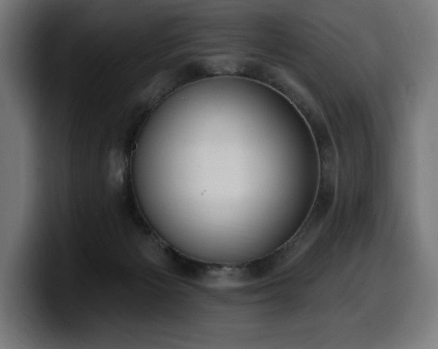 X0000100500125200806131444