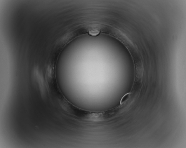 X0000100500126200806131444