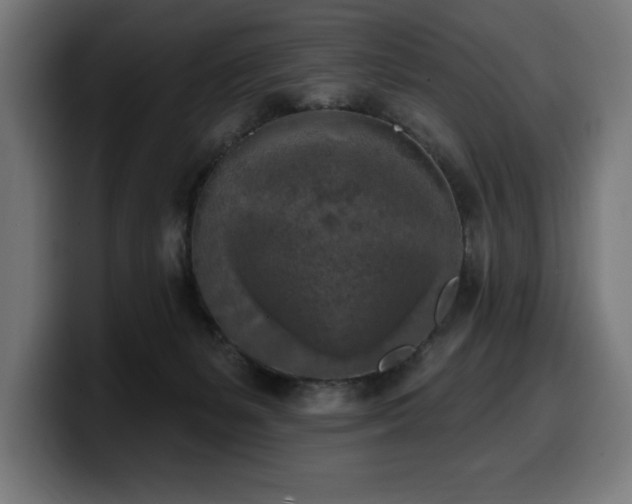 X0000100500127200806131444