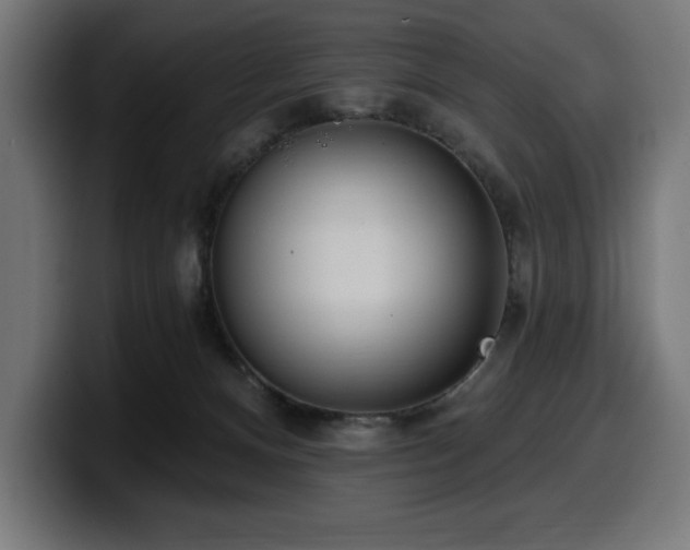 X0000100500128200806131444