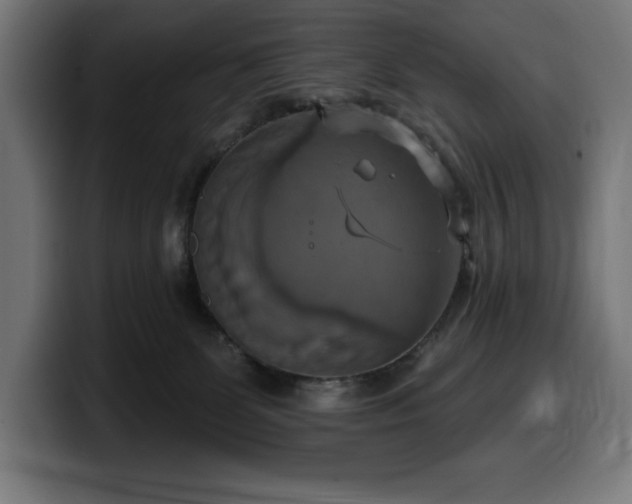 X0000100500131200806131444