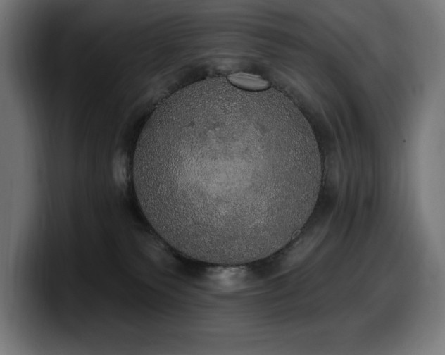 X0000100500135200806131444