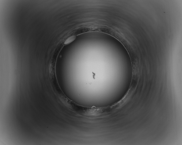 X0000100500136200806131444