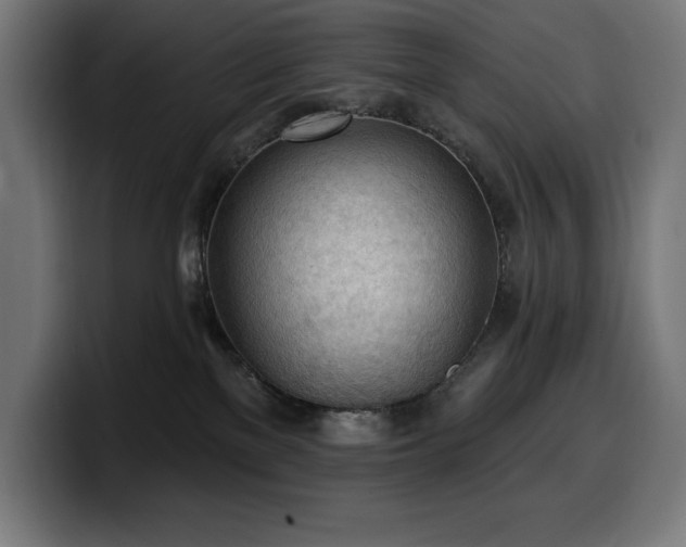 X0000100500137200806131444