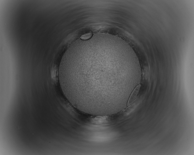 X0000100500138200806131444