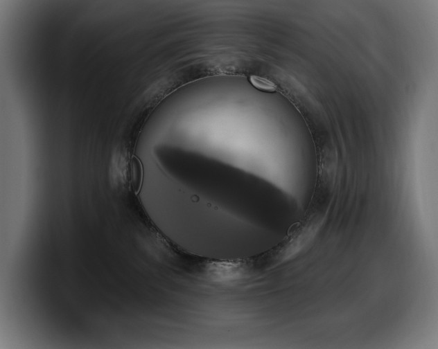 X0000100500139200806131444