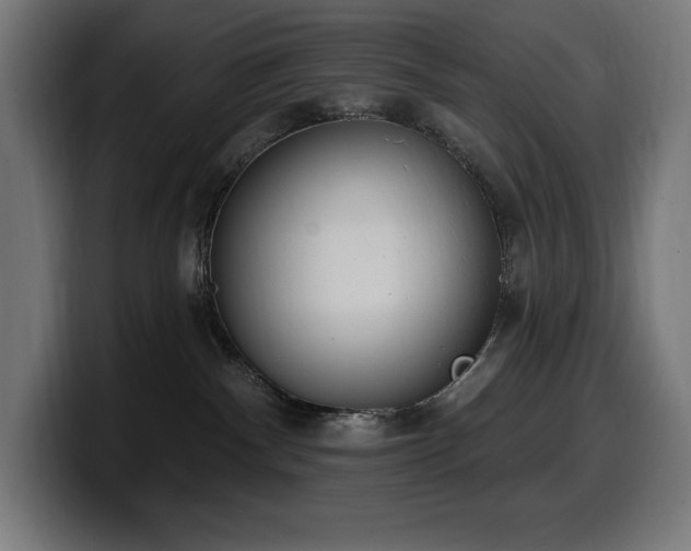 X0000100500140200806131444