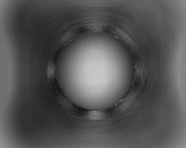 X0000100500141200806131444