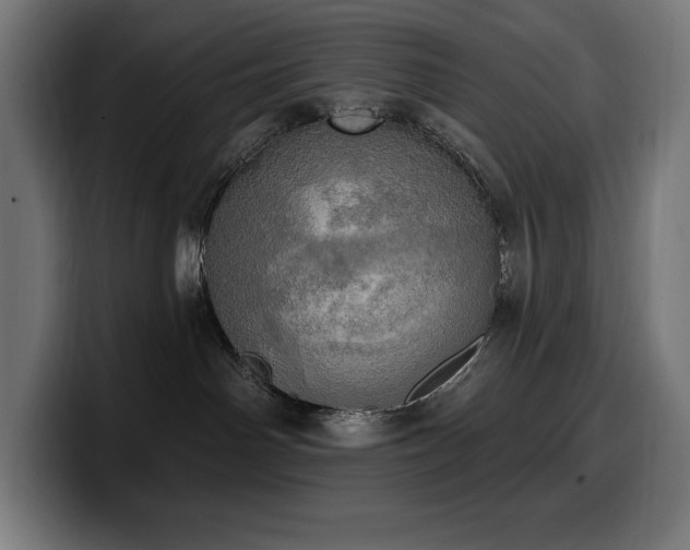 X0000100500142200806131444