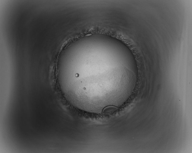 X0000100500144200806131444