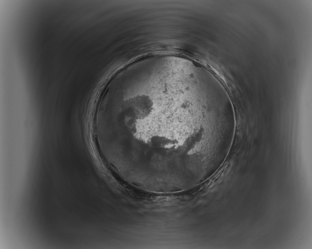 X0000100500145200806131443