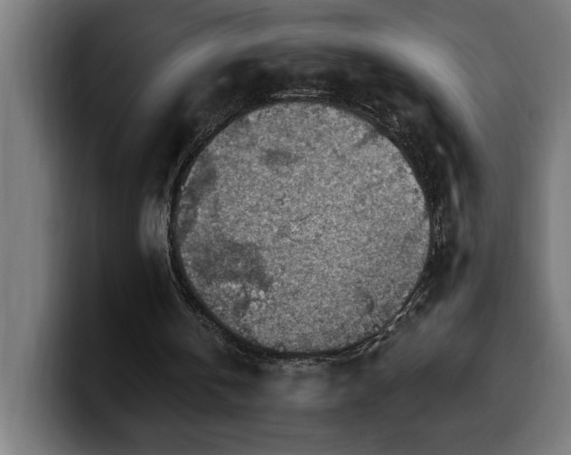 X0000100500146200806131443