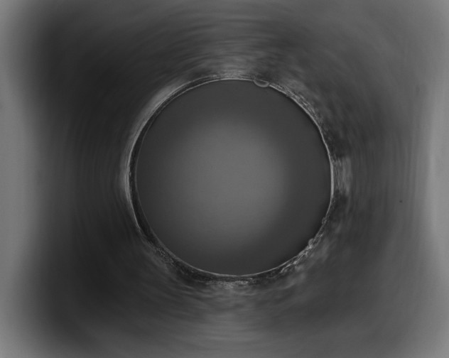 X0000100500147200806131443