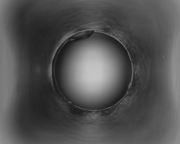 X0000100500148200806131443